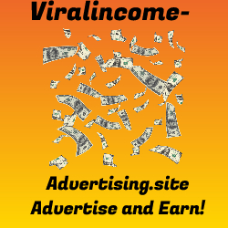 Traffic and Income